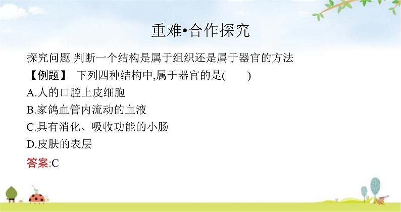 苏教版初中生物七年级上册第2单元第四章第二节多细胞生物体的组成练习课件第5页