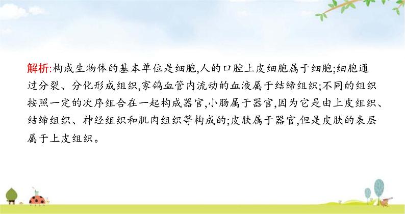 苏教版初中生物七年级上册第2单元第四章第二节多细胞生物体的组成练习课件第6页