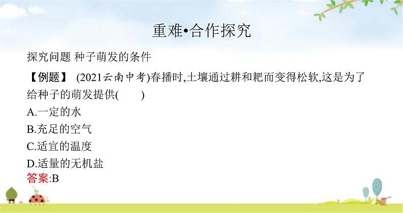 苏教版初中生物七年级上册第3单元五章第一节植物种子的萌发练习课件06