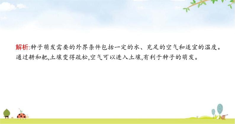 苏教版初中生物七年级上册第3单元五章第一节植物种子的萌发练习课件07