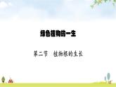 苏教版初中生物七年级上册第3单元五章第二节植物根的生长练习课件