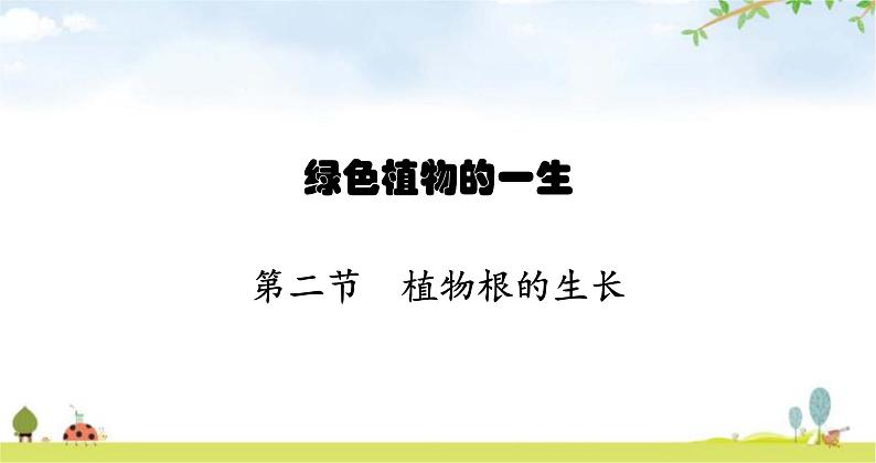 苏教版初中生物七年级上册第3单元五章第二节植物根的生长练习课件01