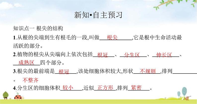 苏教版初中生物七年级上册第3单元五章第二节植物根的生长练习课件03