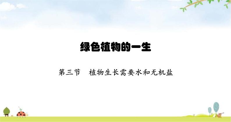 苏教版初中生物七年级上册第3单元五章第三节植物生长需要水和无机盐练习课件01