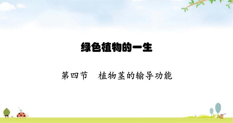 苏教版初中生物七年级上册第3单元五章第四节植物茎的输导功能练习课件01