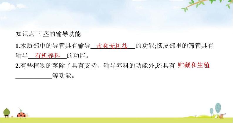 苏教版初中生物七年级上册第3单元五章第四节植物茎的输导功能练习课件06