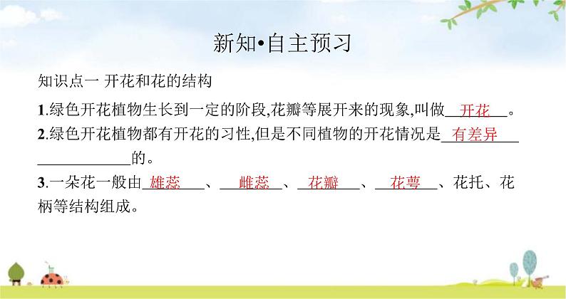 苏教版初中生物七年级上册第3单元五章第五节植物的开花和结果练习课件03