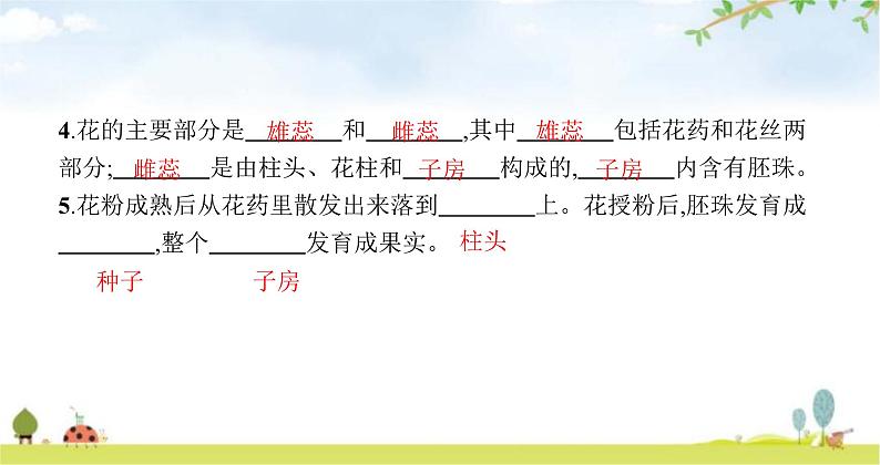 苏教版初中生物七年级上册第3单元五章第五节植物的开花和结果练习课件04