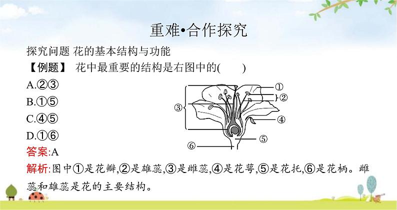 苏教版初中生物七年级上册第3单元五章第五节植物的开花和结果练习课件06