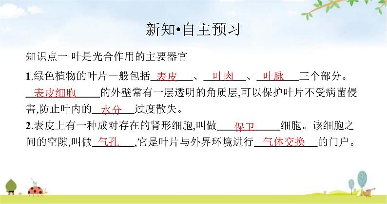 苏教版初中生物七年级上册第3单元第六章第二节植物光合作用的场所练习课件03