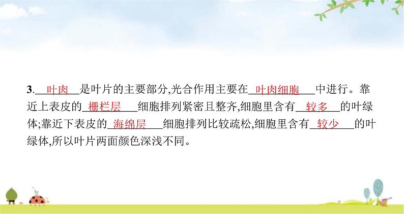 苏教版初中生物七年级上册第3单元第六章第二节植物光合作用的场所练习课件04