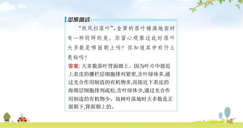 苏教版初中生物七年级上册第3单元第六章第二节植物光合作用的场所练习课件05