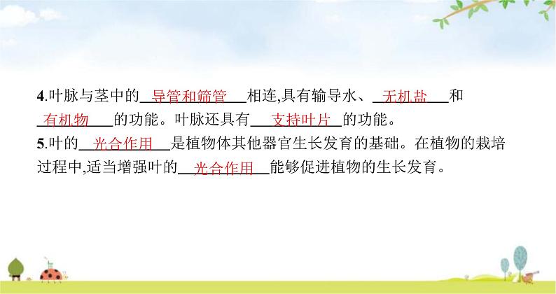 苏教版初中生物七年级上册第3单元第六章第二节植物光合作用的场所练习课件06