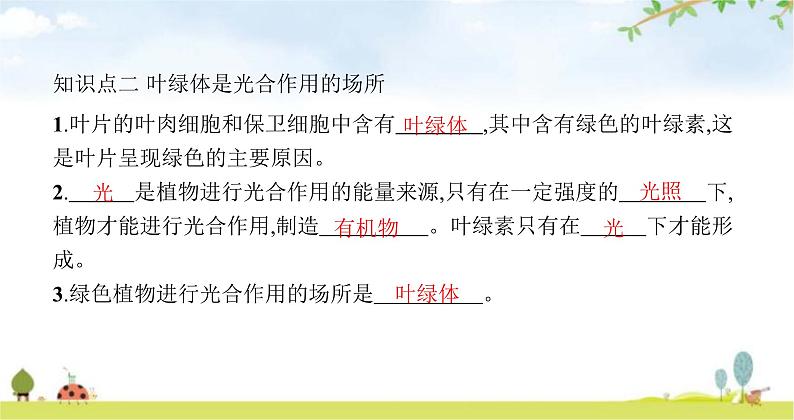 苏教版初中生物七年级上册第3单元第六章第二节植物光合作用的场所练习课件07