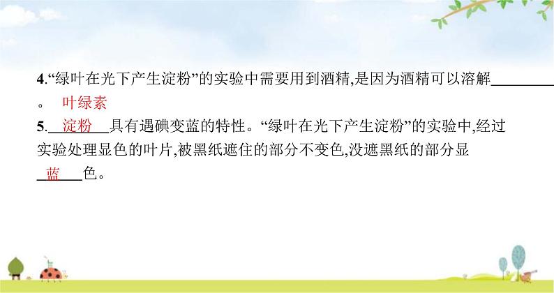 苏教版初中生物七年级上册第3单元第六章第三节植物光合作用的实质练习课件04