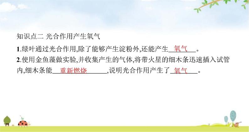 苏教版初中生物七年级上册第3单元第六章第三节植物光合作用的实质练习课件05