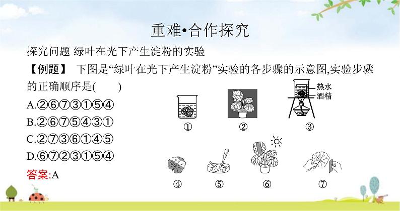 苏教版初中生物七年级上册第3单元第六章第三节植物光合作用的实质练习课件08