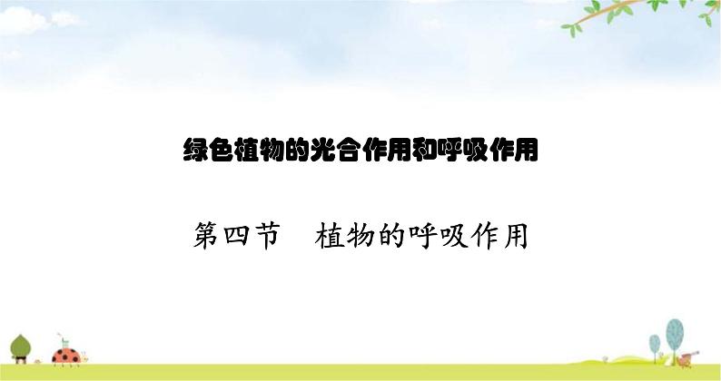 苏教版初中生物七年级上册第3单元第六章第四节植物的呼吸作用练习课件01