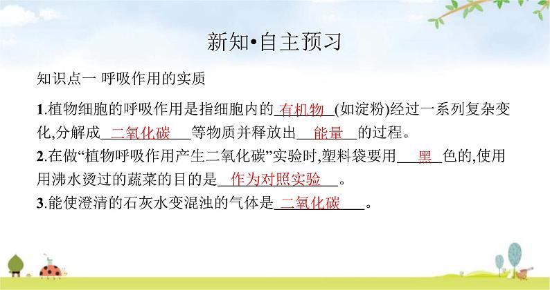 苏教版初中生物七年级上册第3单元第六章第四节植物的呼吸作用练习课件03