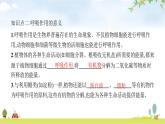 苏教版初中生物七年级上册第3单元第六章第四节植物的呼吸作用练习课件