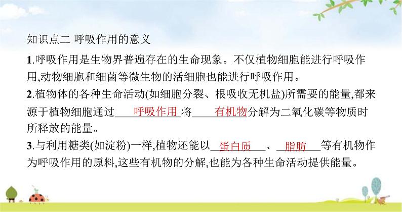 苏教版初中生物七年级上册第3单元第六章第四节植物的呼吸作用练习课件05