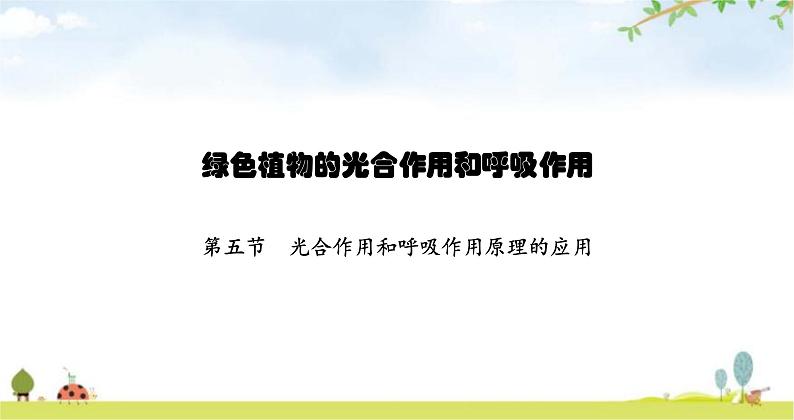 苏教版初中生物七年级上册第3单元六章第五节光合作用和呼吸作用原理的应用练习课件01