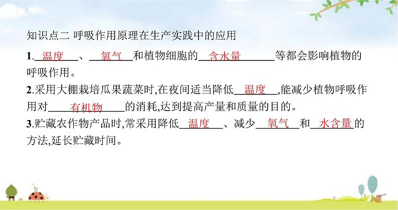 苏教版初中生物七年级上册第3单元六章第五节光合作用和呼吸作用原理的应用练习课件05