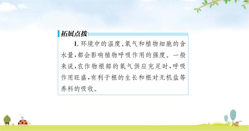 苏教版初中生物七年级上册第3单元六章第五节光合作用和呼吸作用原理的应用练习课件08