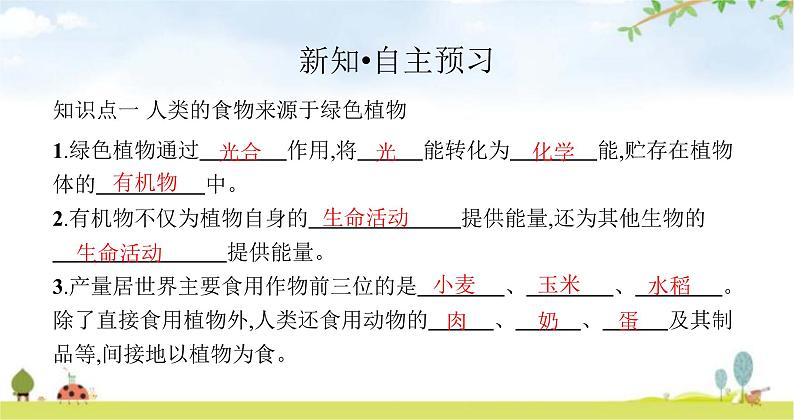 苏教版初中生物七年级上册第3单元七章第一节绿色植物是食物之源练习课件03