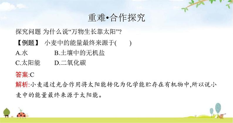 苏教版初中生物七年级上册第3单元七章第一节绿色植物是食物之源练习课件05