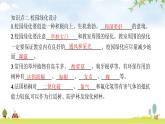 苏教版初中生物七年级上册第3单元第七章第三节绿化,我们共同的行动练习课件