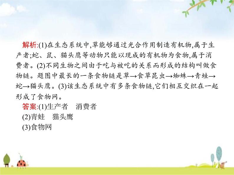 人教版初中生物七年级上册第1单元生物和生物圈第2章第2节生物与环境组成生态系统练习课件08