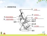 人教版初中生物七年级上册第2单元生物体的结构层次第1章第1节练习使用显微镜练习课件