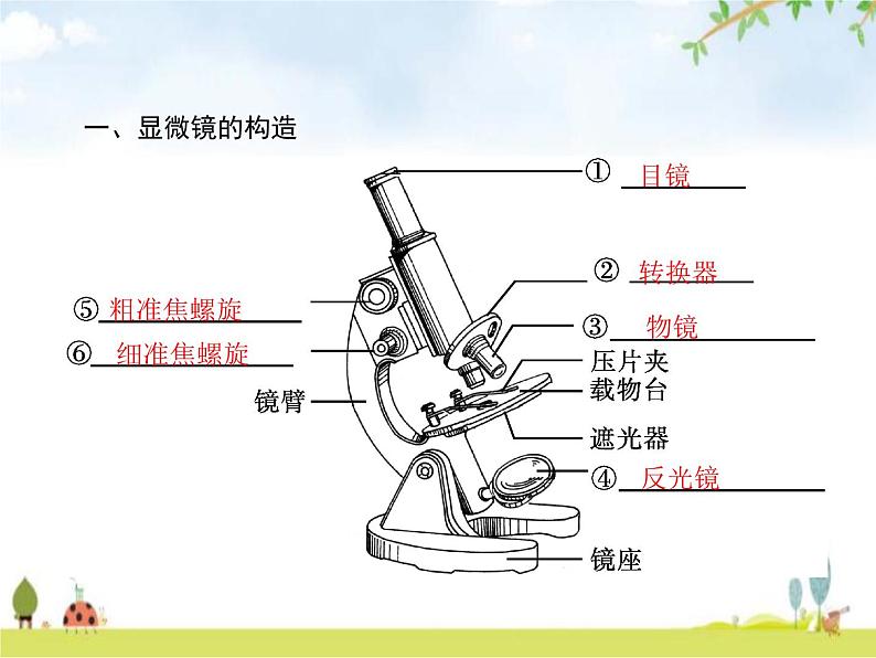 人教版初中生物七年级上册第2单元生物体的结构层次第1章第1节练习使用显微镜练习课件02