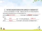 人教版初中生物七年级上册第2单元生物体的结构层次第1章第2节植物细胞练习课件