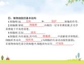 人教版初中生物七年级上册第2单元生物体的结构层次第1章第2节植物细胞练习课件