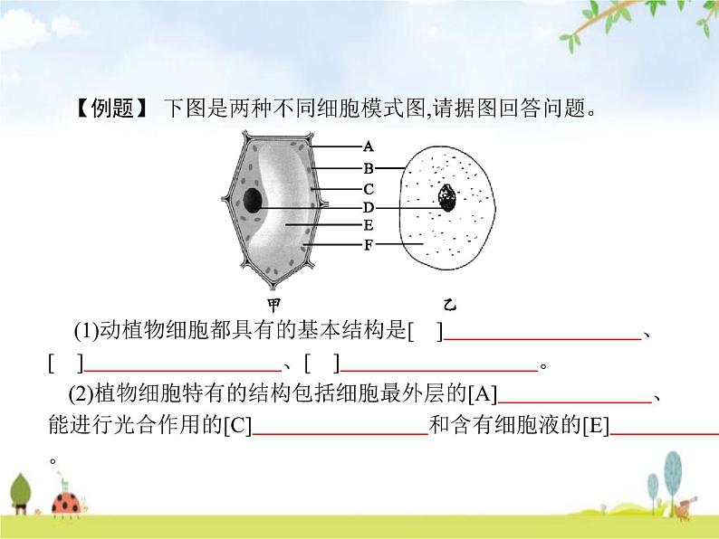 人教版初中生物七年级上册第2单元生物体的结构层次第1章第3节动物细胞练习课件06