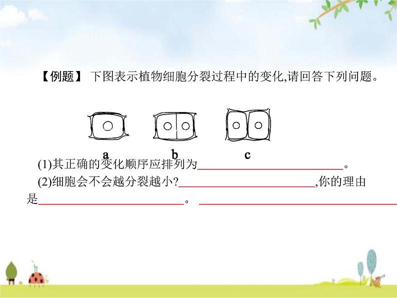 人教版初中生物七年级上册第2单元生物体的结构层次第2章第1节细胞通过分裂产生新细胞练习课件06