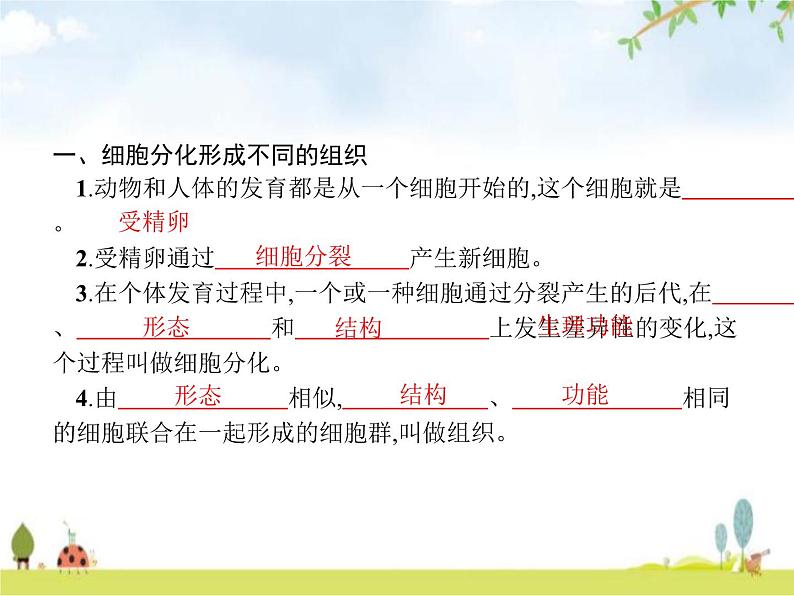 人教版初中生物七年级上册第2单元生物体的结构层次第2章第2节动物体的结构层次练习课件02