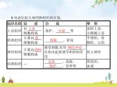 人教版初中生物七年级上册第2单元生物体的结构层次第2章第2节动物体的结构层次练习课件