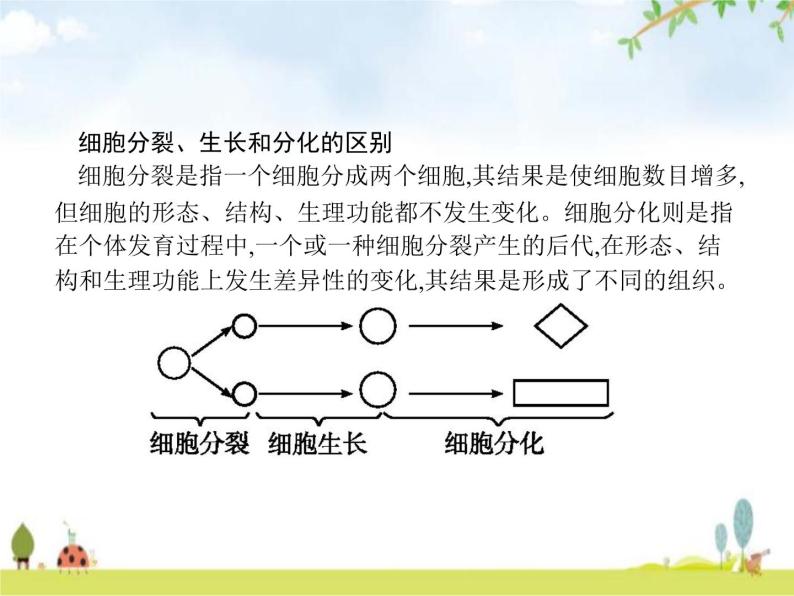 人教版初中生物七年级上册第2单元生物体的结构层次第2章第2节动物体的结构层次练习课件05