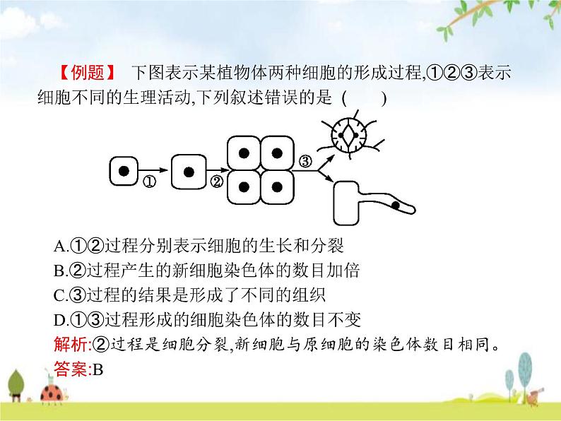 人教版初中生物七年级上册第2单元生物体的结构层次第2章第2节动物体的结构层次练习课件06