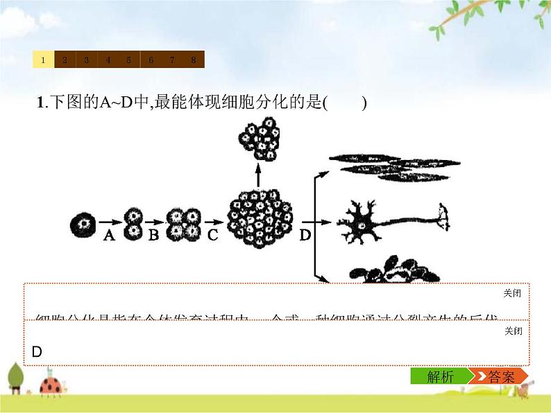 人教版初中生物七年级上册第2单元生物体的结构层次第2章第2节动物体的结构层次练习课件07