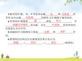 人教版初中生物七年级上册第2单元生物体的结构层次第2章第3节植物体的结构层次练习课件