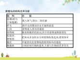 人教版初中生物七年级上册第2单元生物体的结构层次第2章第4节单细胞生物练习课件