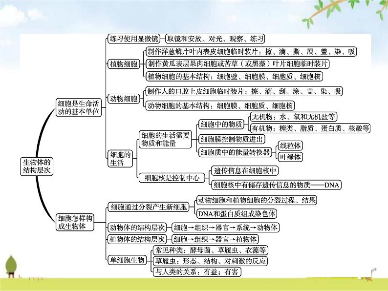 人教版初中生物七年级上册第二单元整合练习课件第2页