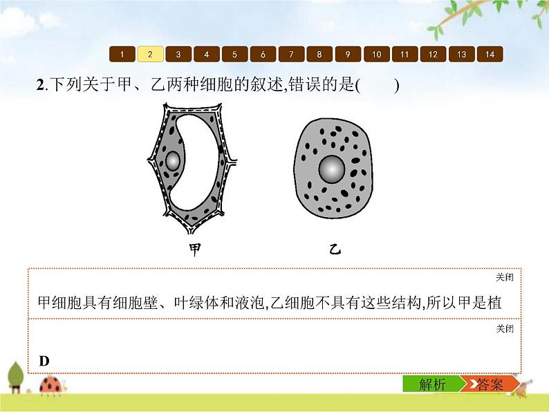 人教版初中生物七年级上册第二单元整合练习课件第7页