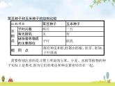 人教版初中生物七年級上冊第3單元生物圈中的綠色植物第1章第2節(jié)種子植物練習(xí)課件