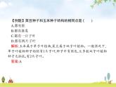 人教版初中生物七年級上冊第3單元生物圈中的綠色植物第1章第2節(jié)種子植物練習(xí)課件