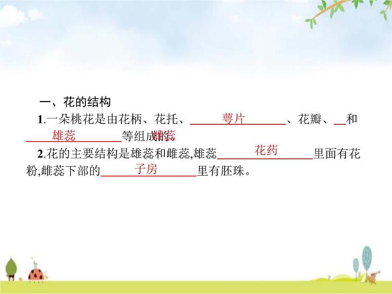 人教版初中生物七年级上册第3单元生物圈中的绿色植物第2章第3节开花和结果练习课件02